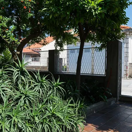 Veve דוברובניק