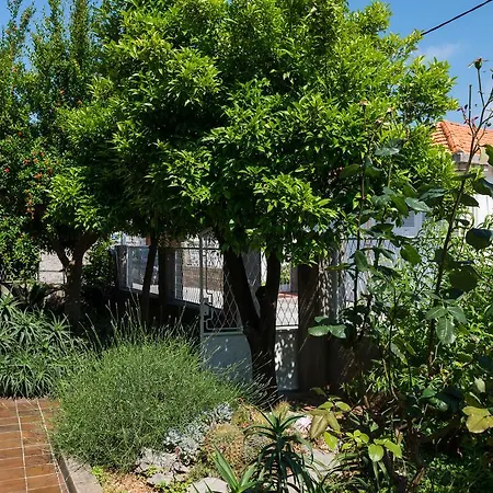 沃韦公寓 杜布罗夫尼克