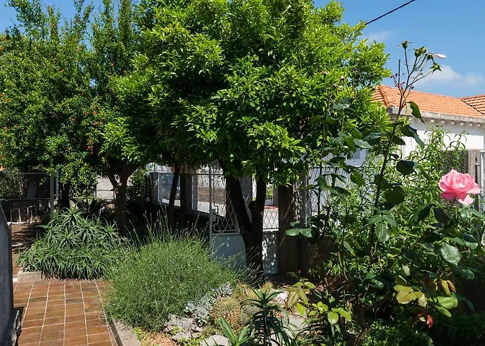 Veve דוברובניק