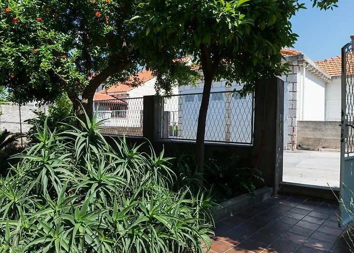 Veve דוברובניק